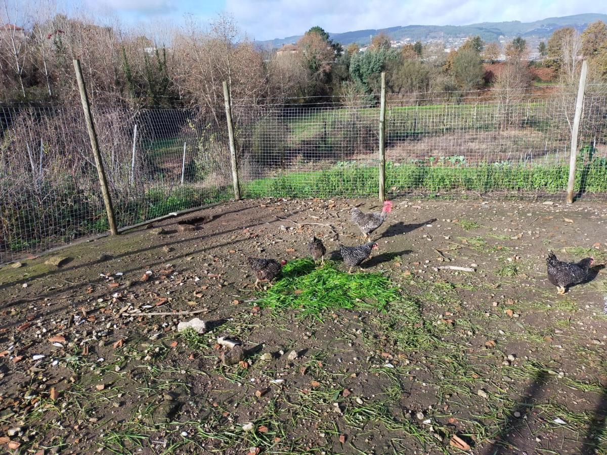 Quinta Da Lage Agroturismo E Enoturismo Castelbuono Extérieur photo
