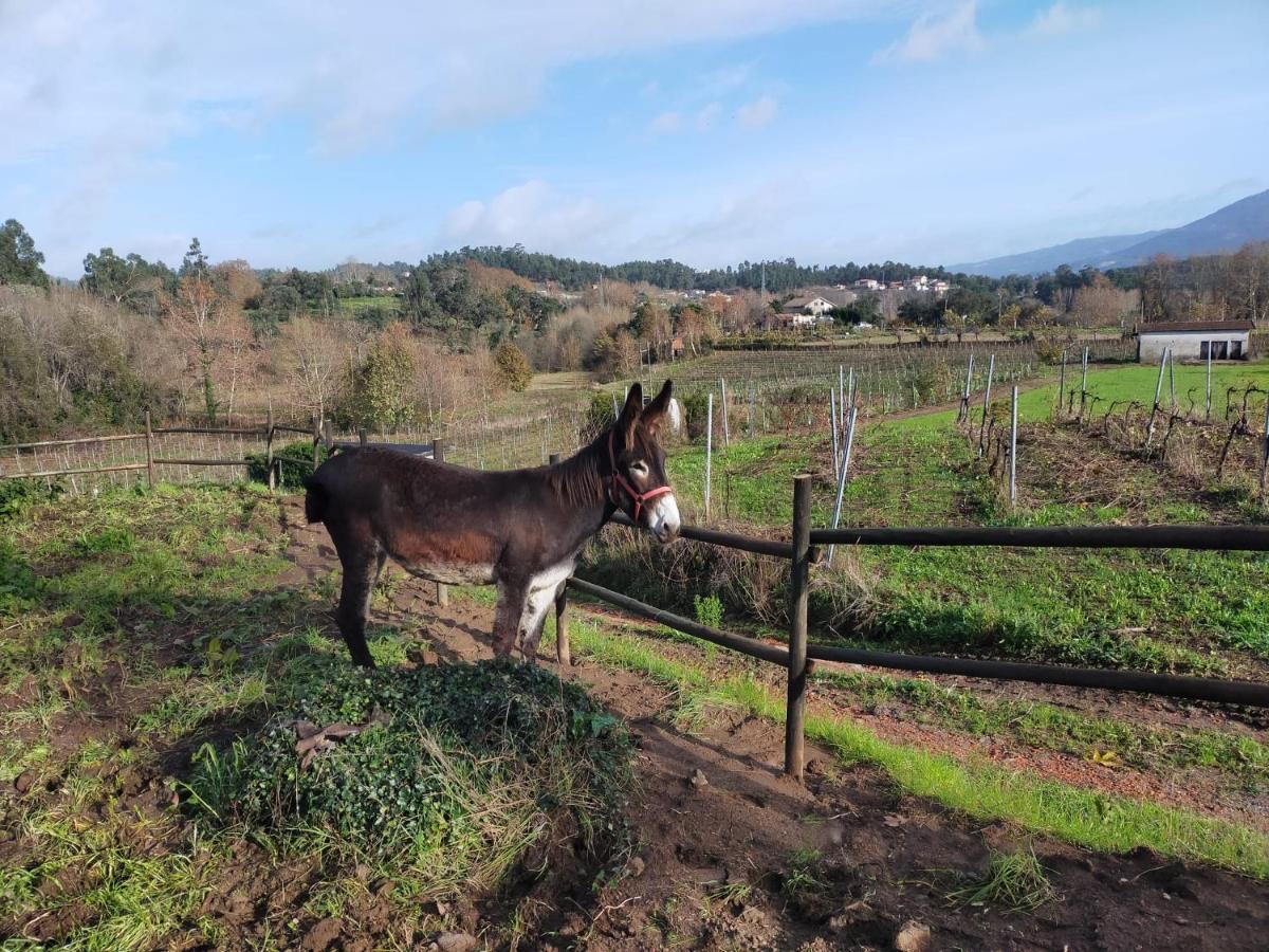 Quinta Da Lage Agroturismo E Enoturismo Castelbuono Extérieur photo
