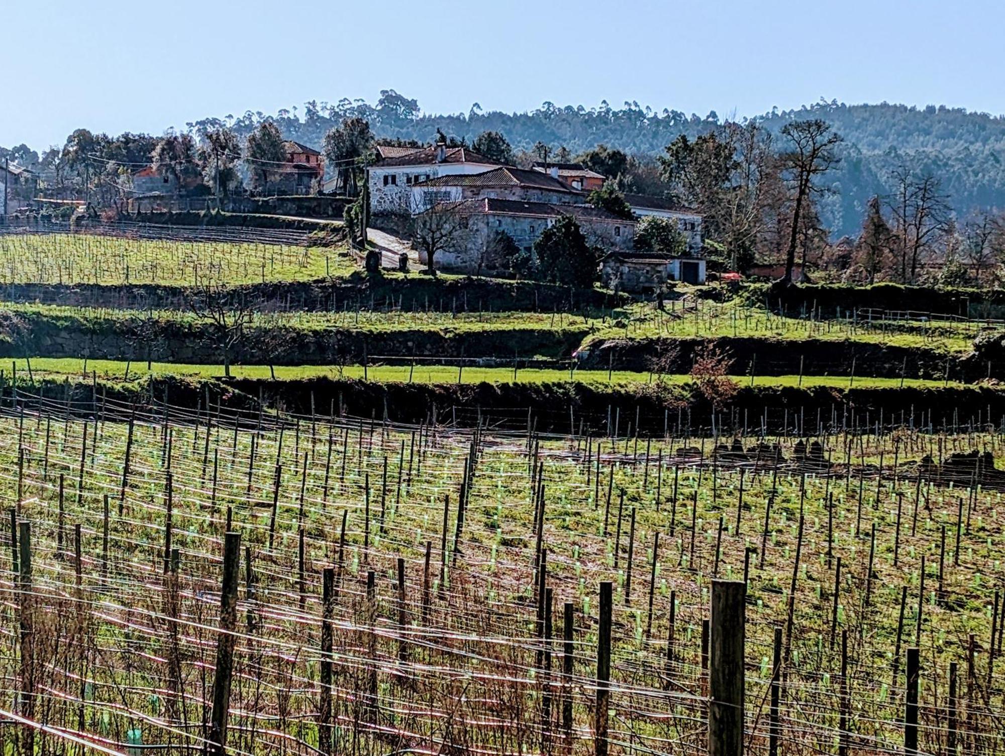 Quinta Da Lage Agroturismo E Enoturismo Castelbuono Extérieur photo