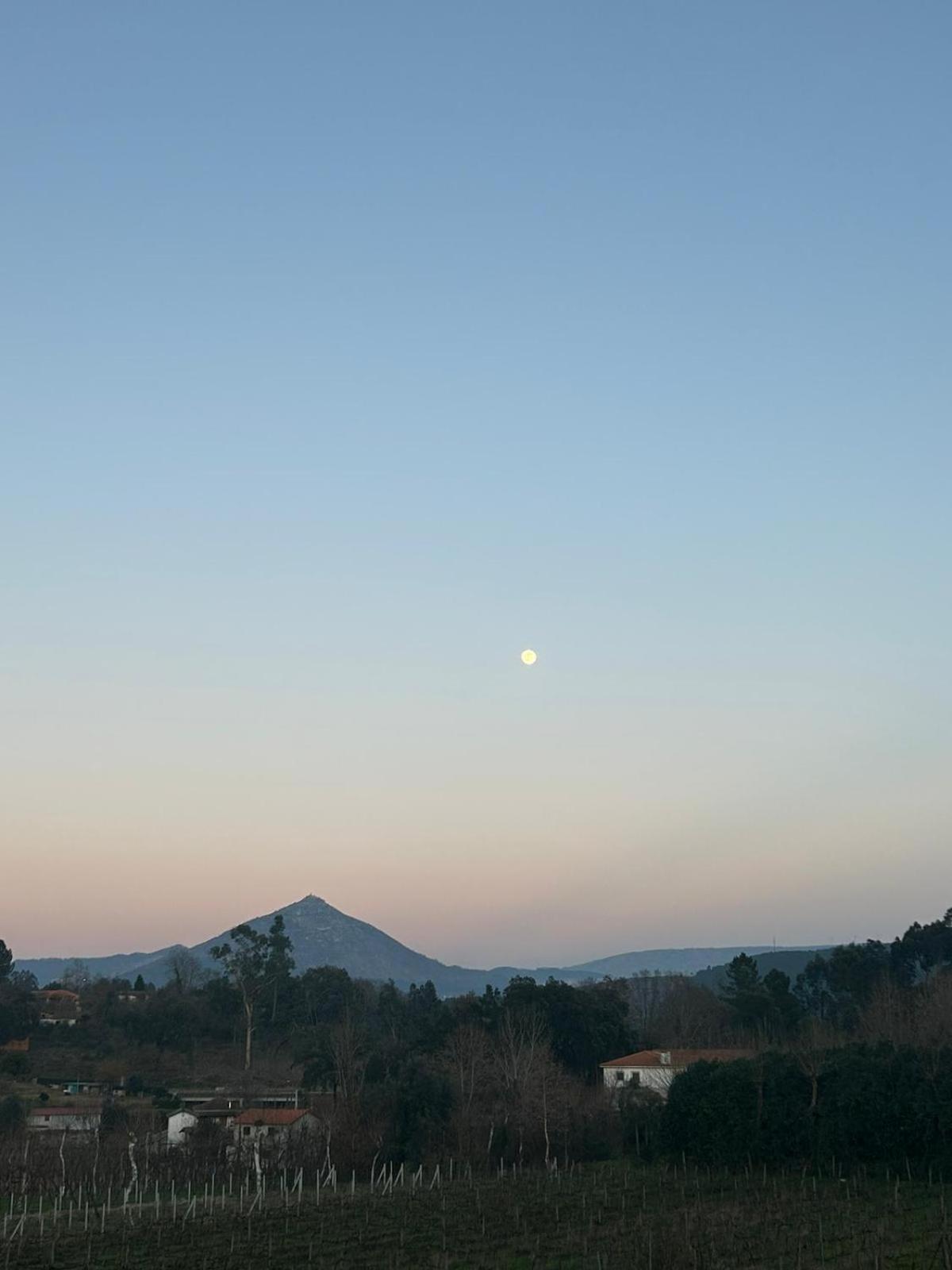 Quinta Da Lage Agroturismo E Enoturismo Castelbuono Extérieur photo