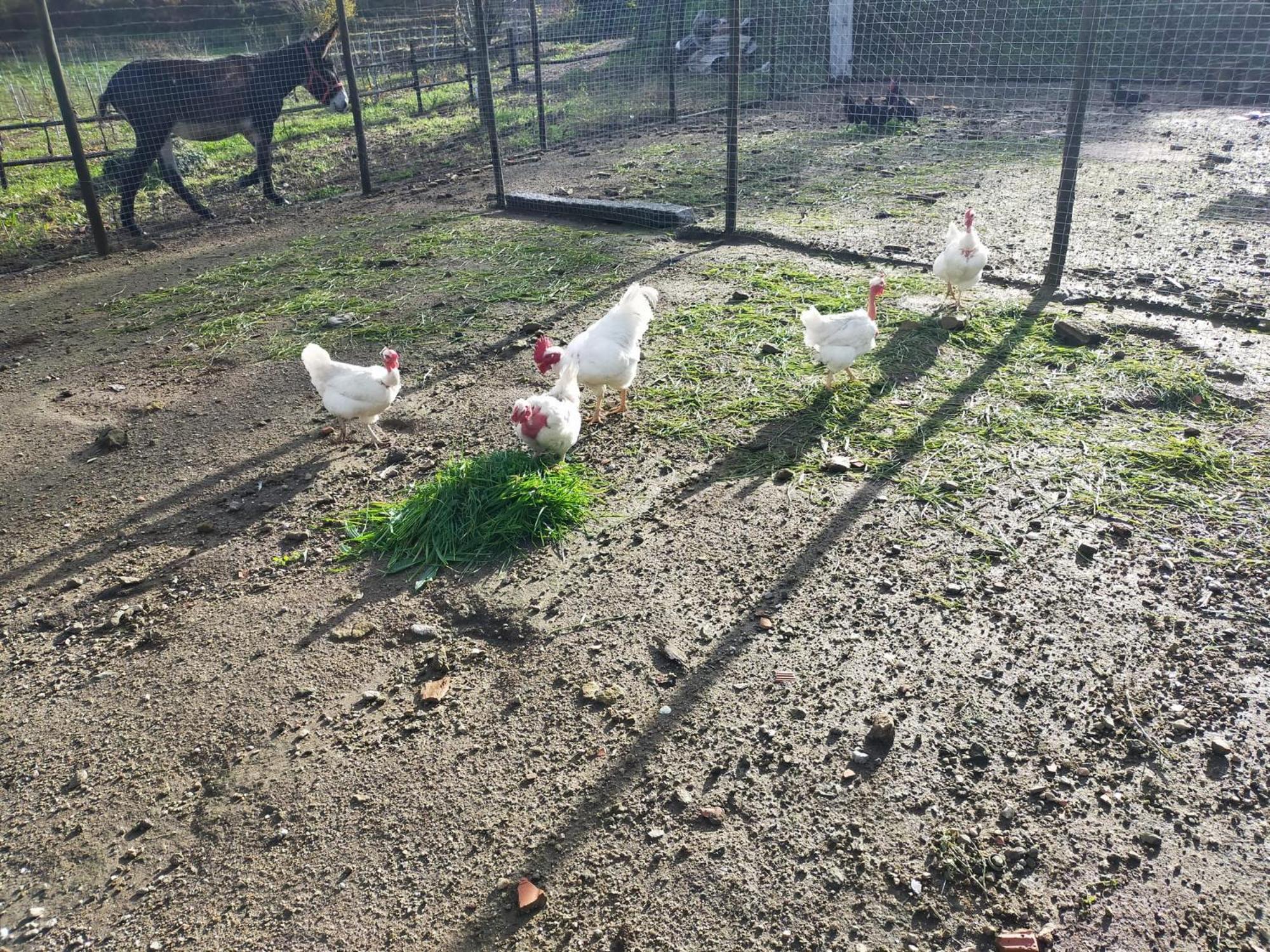 Quinta Da Lage Agroturismo E Enoturismo Castelbuono Extérieur photo