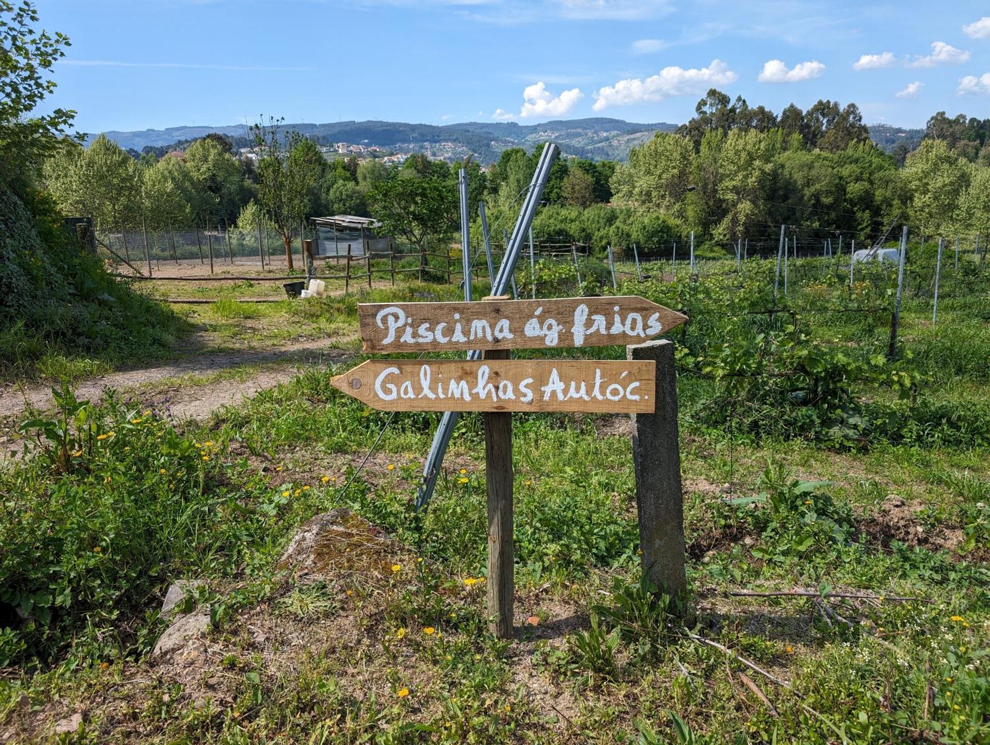 Quinta Da Lage Agroturismo E Enoturismo Castelbuono Extérieur photo
